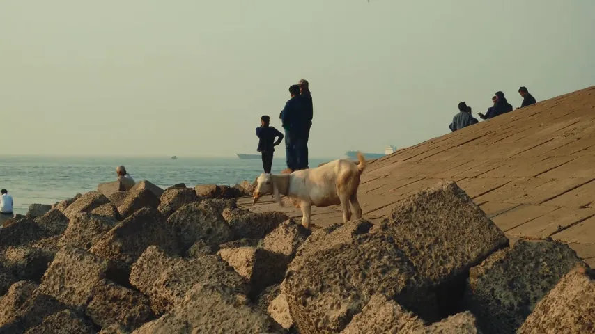 AI automatically tracking and removing objects across video frames without manual masking